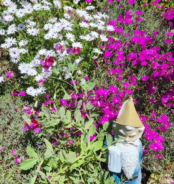 Show Us Your Photos
