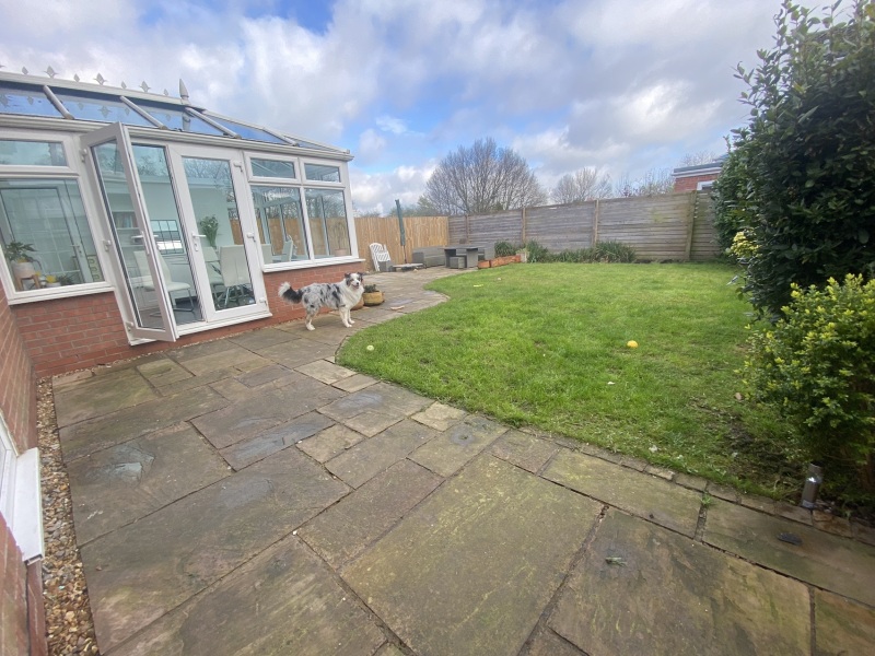 New garden inspo/advice *pics included*