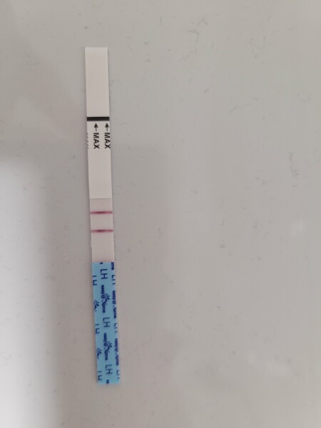 Ovulation tests question (with pic)