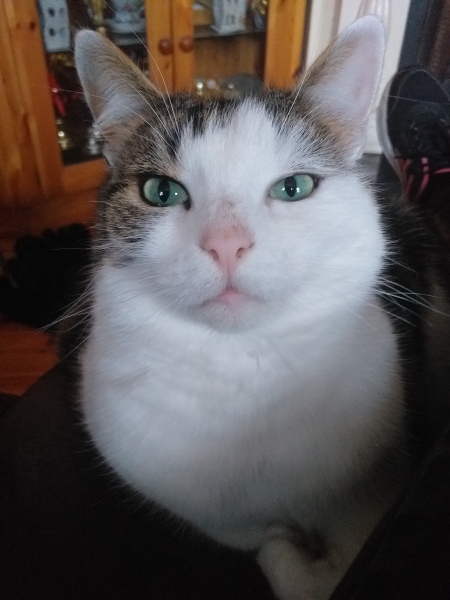 Meet Ralph