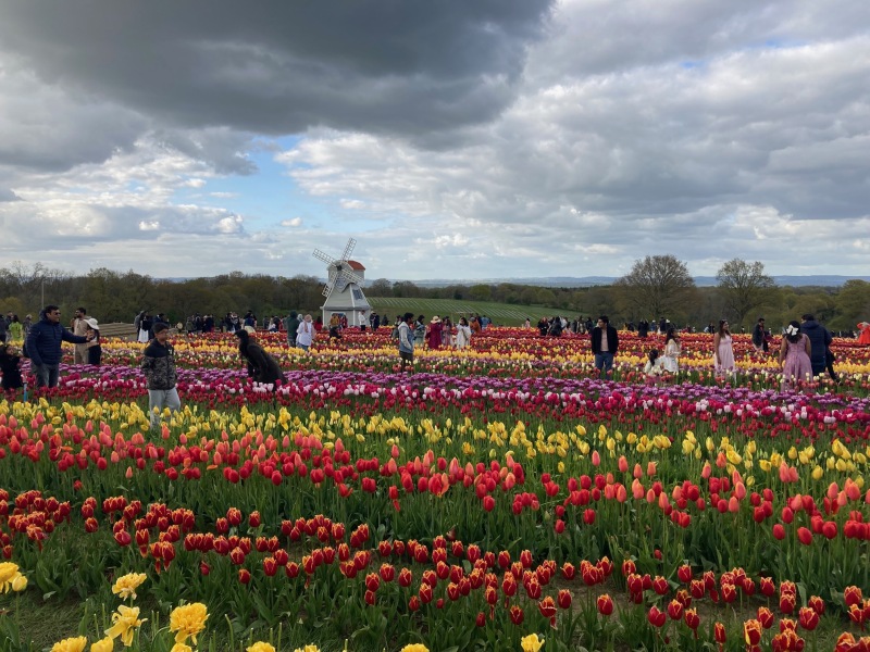 The Great Recovery part 2 - After Cancer treatment what next?