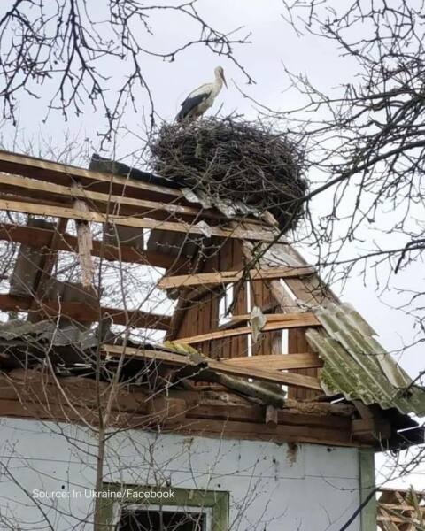 Ukraine Invasion: Part 48