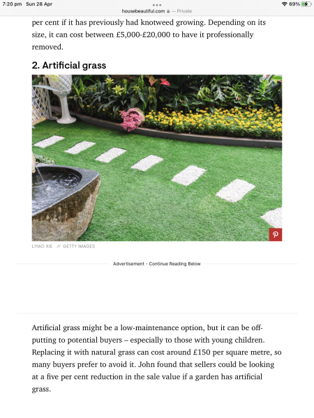 Artificial grass - share experience and where to buy
