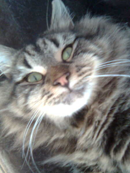 My boy