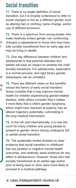Final Report Cass Review now published