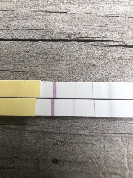 A line eye enthusiast #2