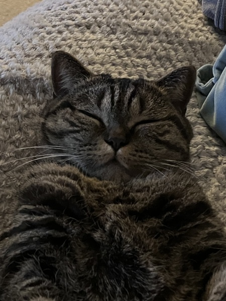 Meet Ralph