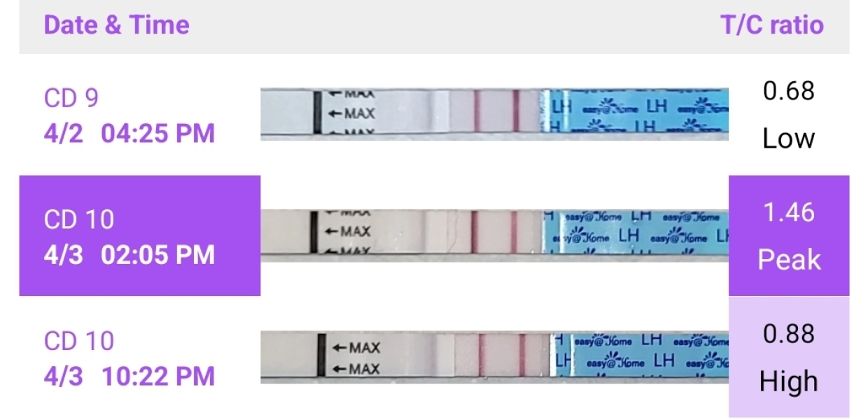 CD1 entering 3rd month TTC (next fertile window 8th - 17th march)