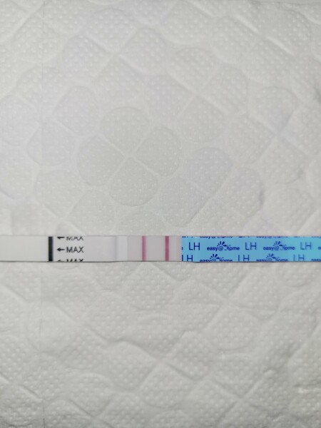 TTC April 2024…Christmas Babies! ❤️✨