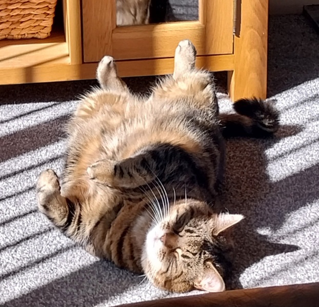 God forbid we disturb her slumber - photo