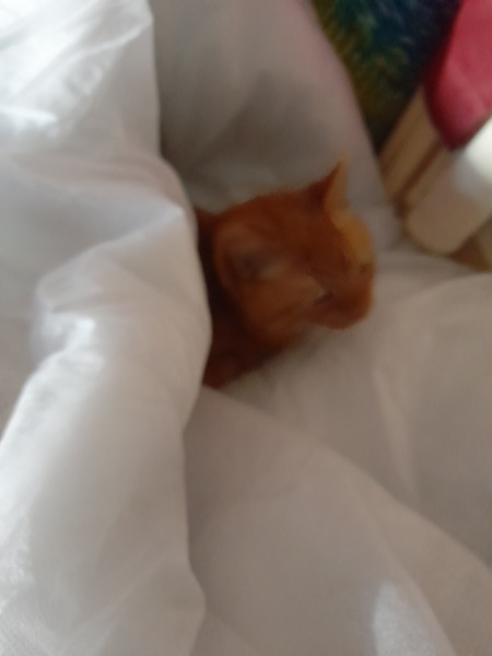 Meet Ralph