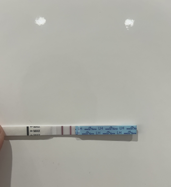 Positive ovulation test?