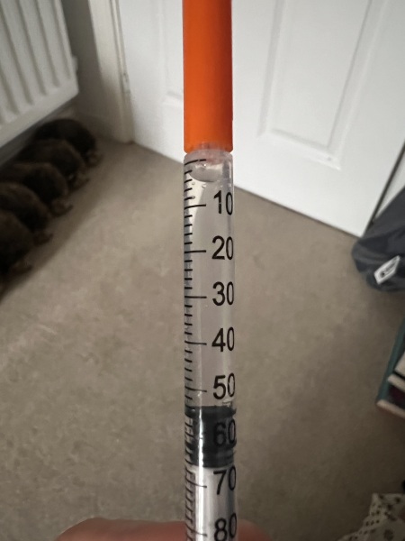 Continuing Mounjaro...part 4