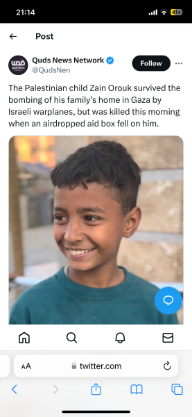 IDF statement on Aid Convoy Stampede