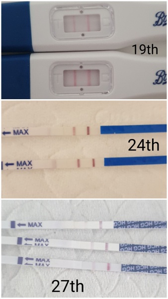I'm going to miscarry, aren't I?