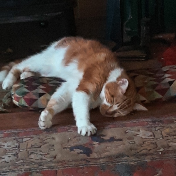 A thread about not much other than my old boy
