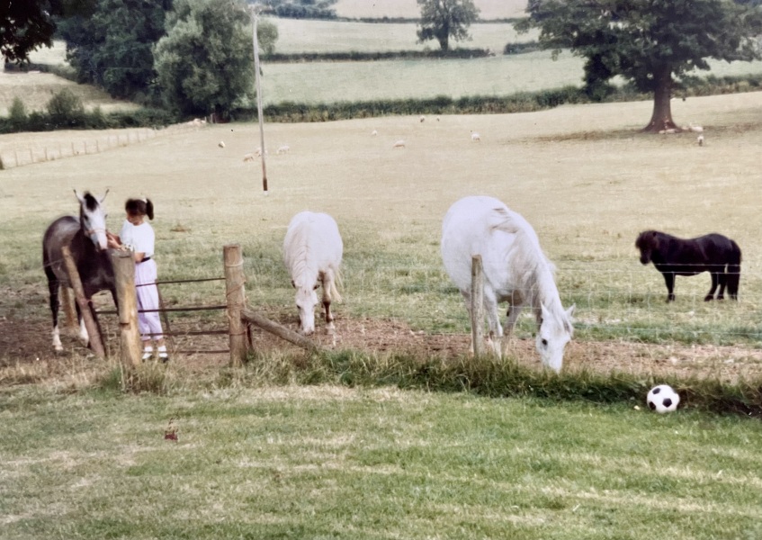 Horse breed ID
