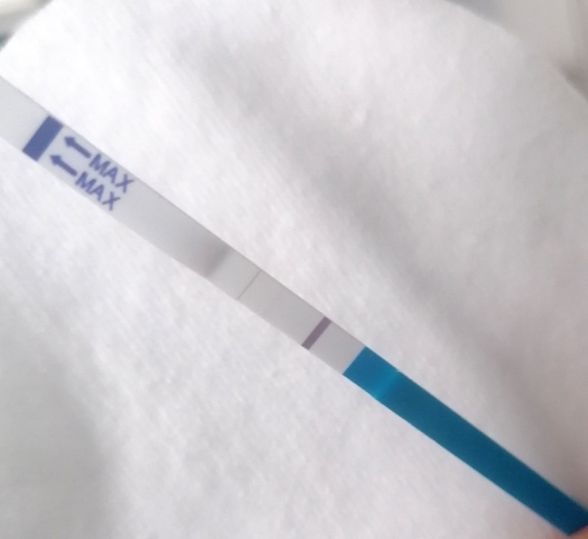 Accu News / Home Bargains Strip Test