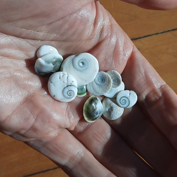 What unusual thing can often be found in your pocket or bag?