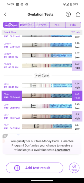 Ovulation following a miscarriage