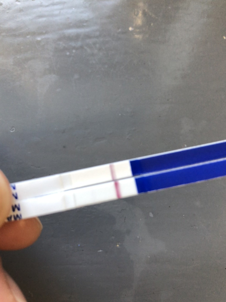 Anyone want to join for two week wait?