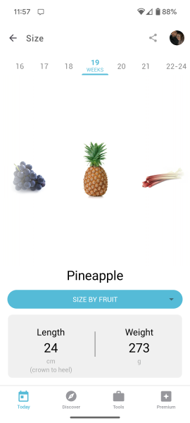 September 2024 - Thread 6! 🐣🧡💛❤️