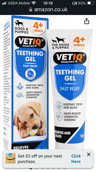 Puppy Survival Thread for New and Old Pups - Spring is around the corner!