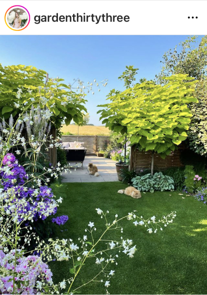 Garden design/planting