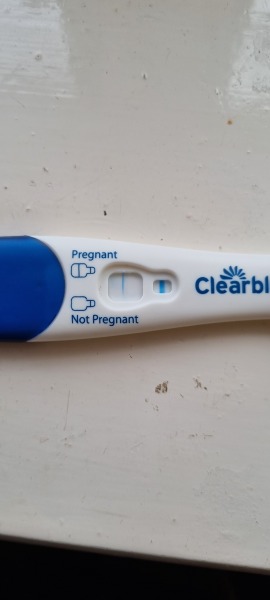 Clear blue test. Evap line or positive
