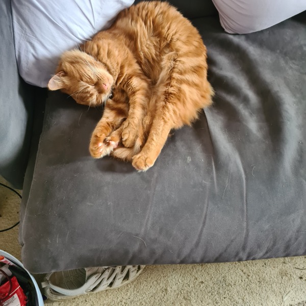 Meet Ralph