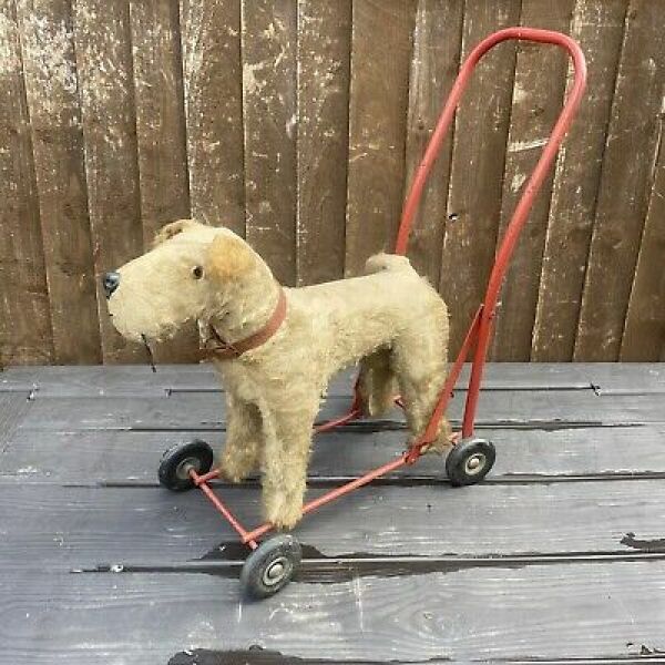 Please recommend a dog for our family