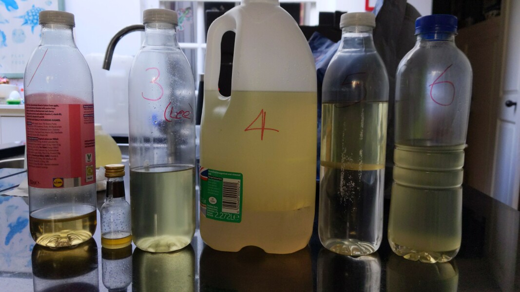 Thread 50 - Covid GCSE Cohort - New Year of Adulting