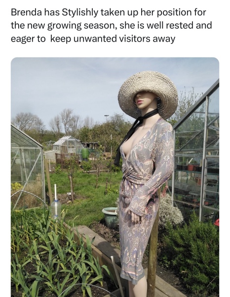CF allotment thief part 3: The ‘plot’ thickens and auditions begin for the west end musical