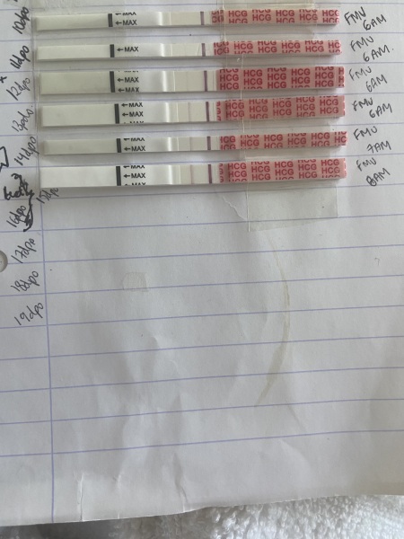 Anyone else preparing for FET April 2024