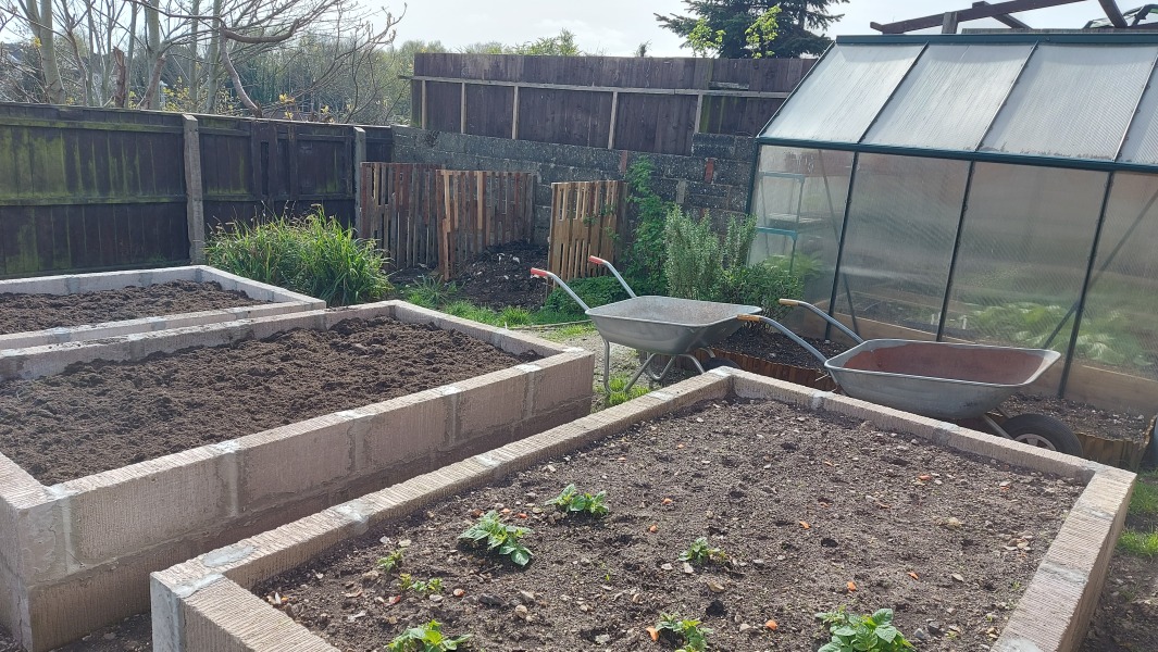 The Vegetable Patch 2024/2025