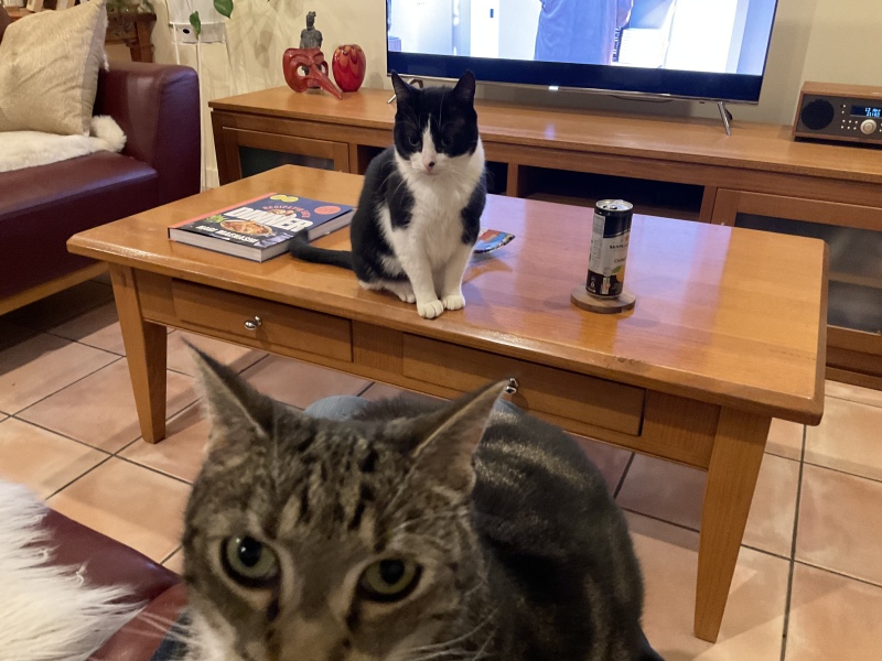 Lap wars