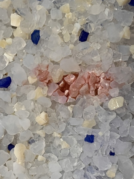 Found blood in litter tray (pic attached)