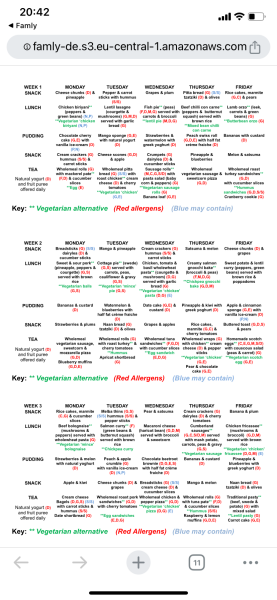 Nursery Food Menu - can you show me yours?