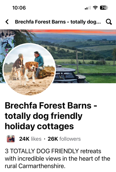 empty and unescapable beaches for dogs with bad recall