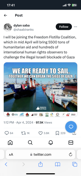 IDF statement on Aid Convoy Stampede