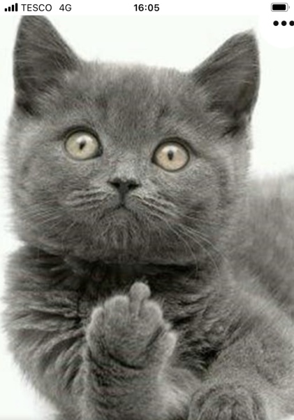 To want DH to stop sending me photos of things that displease him?