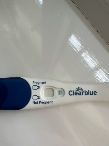 Clear blue test. Evap line or positive