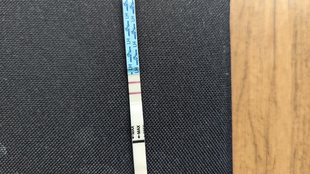 Positive opk?