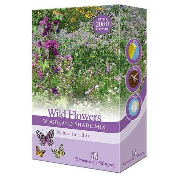 Good quality bag of mixed wildflower seeds that will look lovely