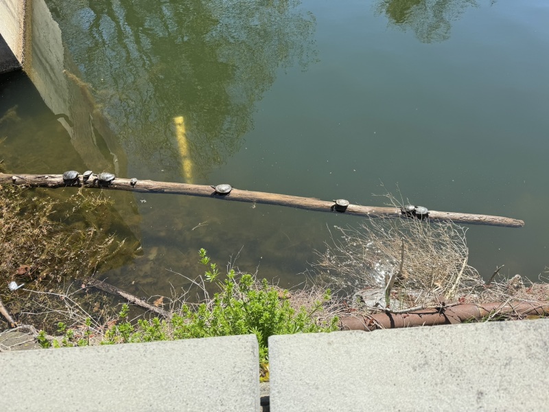 Come and tell me your dull and unexciting news 29: Calmly through the day