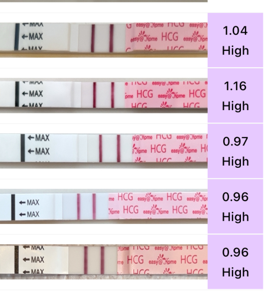 TTC after miscarriage