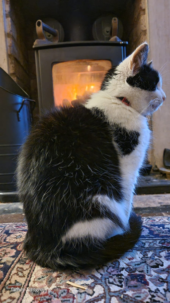 Meet Ralph