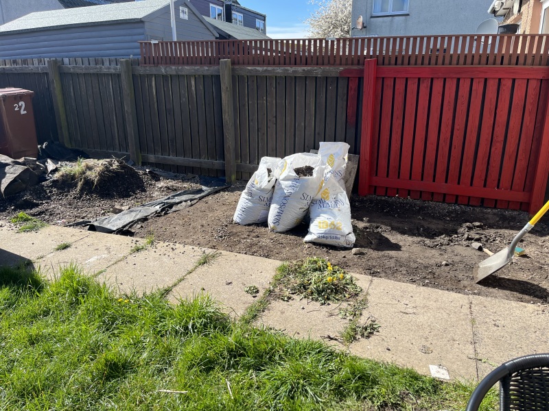 What would you do with this patch of garden
