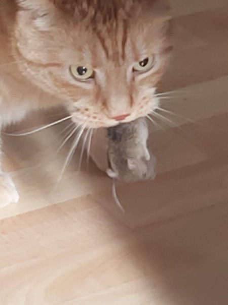 MAFS Australia - Thread 4: “Don’t get your tits in a tangle. Relaaaaaax, enjoy the spaciousness, leave your guitars at home and let’s all be deeeeeece and not give any spoilers”