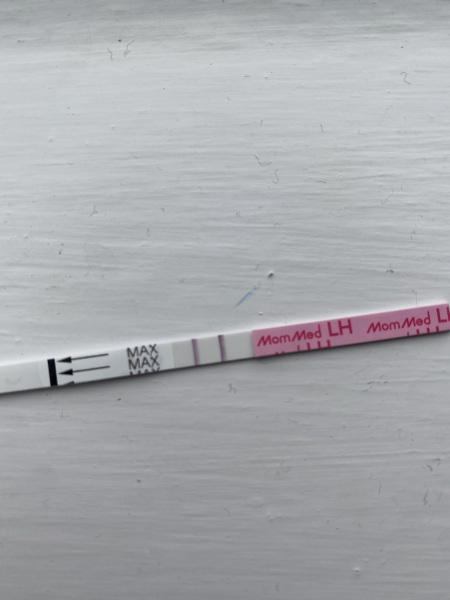 TTC April 2024…Christmas Babies! ❤️✨